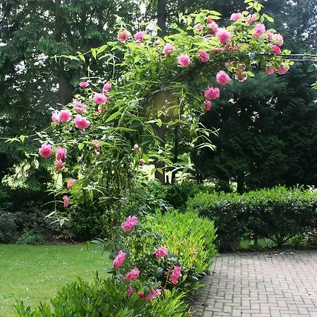 Hotell Beukenhorst