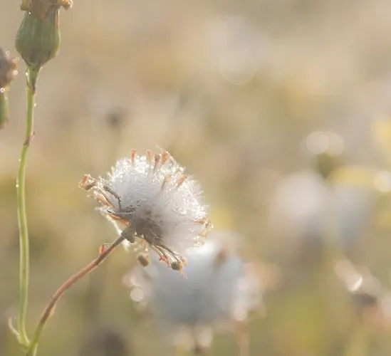 Beukenhorst Hotel Wittem